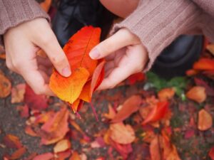 秋の紅葉と女性の手